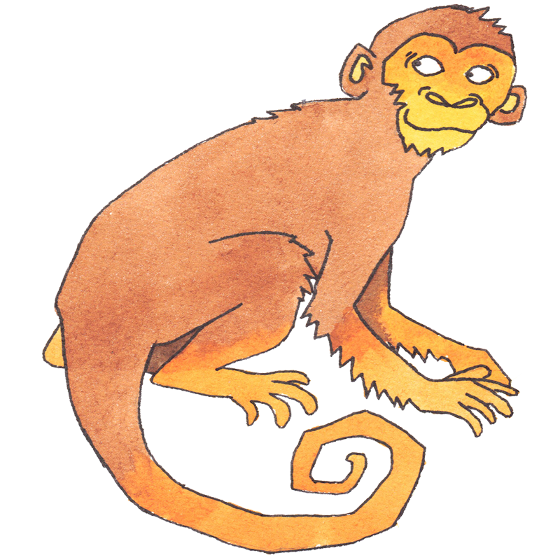 Chinese Zodiac Astrology | Zodiac Animal Sign The Monkey